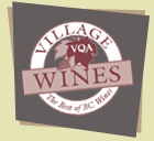 village-vqa-logo